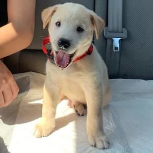 Meet your Posher, Jerardo